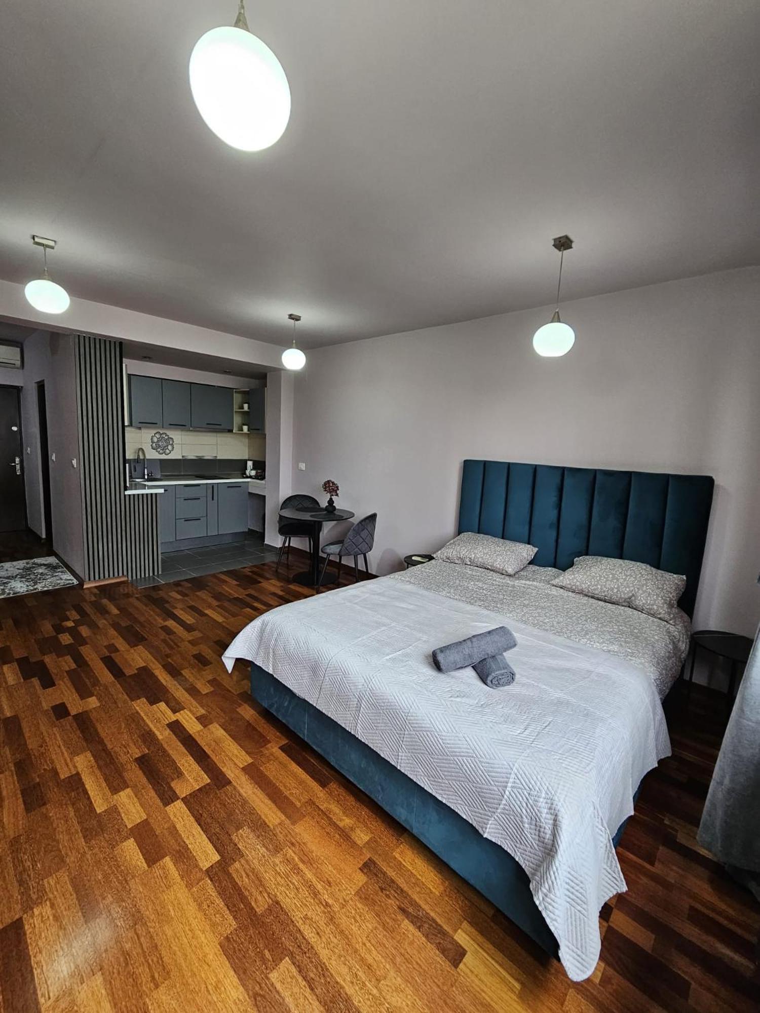 Central Sweet Apartment Self Check-In Тимишоара Экстерьер фото